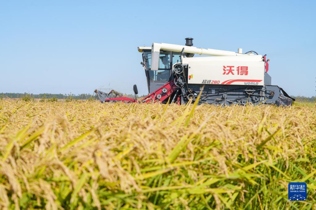 澳门信集团德